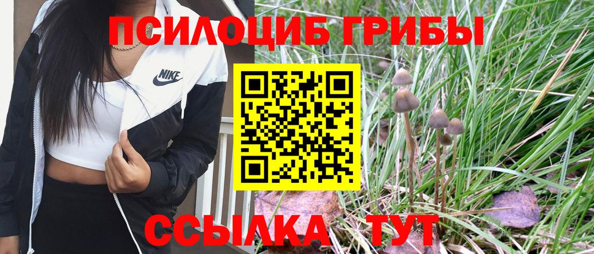 Галлюциногенные грибы ЛСД Дзержинский
